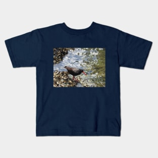 Black Oystercatcher - Coffs Harbour NSW Australia Kids T-Shirt